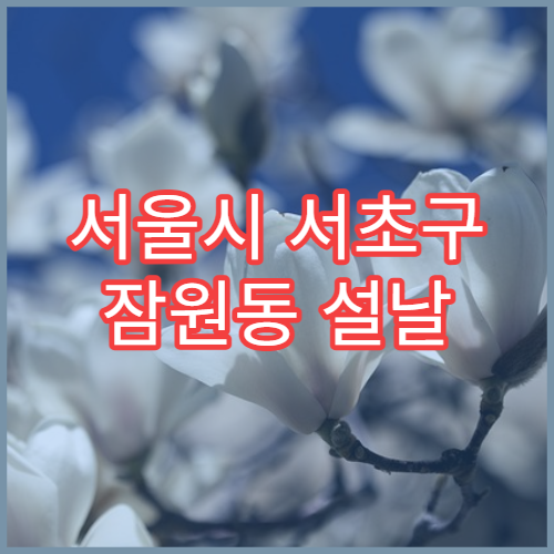 서울시 서초구 잠원동 설날 연휴 당직약국 위치와 영업시간 모음 위치와 운영시간 모음