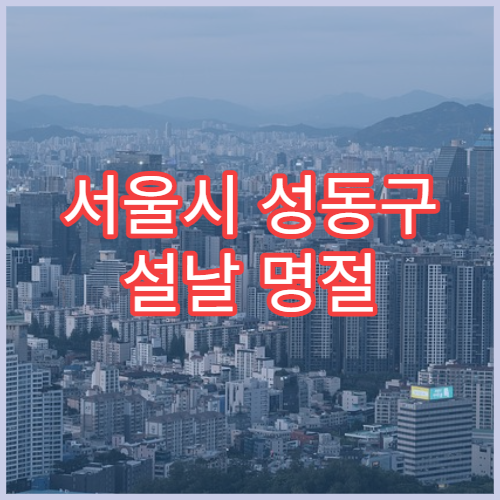 서울시 성동구 설날 명절 소아과 연휴 진료 발열·설사 아이 상담 가능