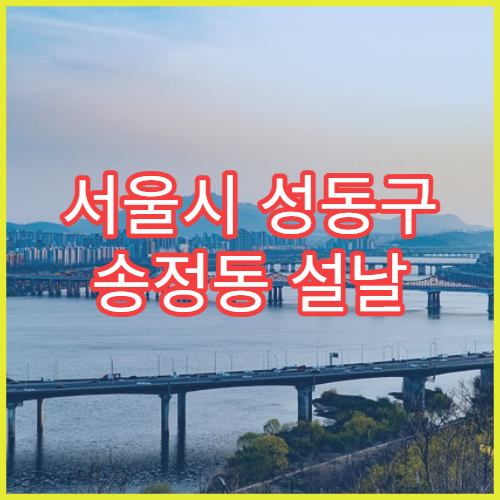 서울시 성동구 송정동 설날 명절 약국 연휴 영업 관절연고·근육이완제 상담 가능
