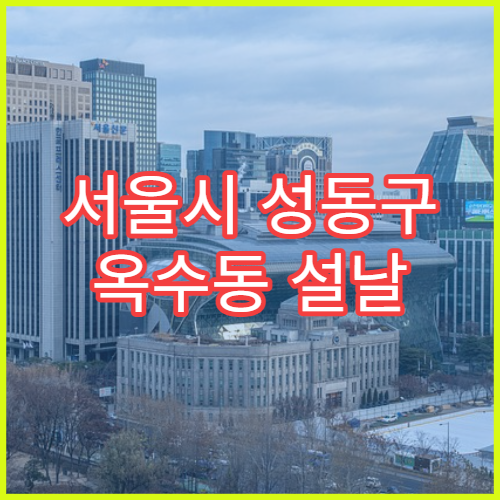 서울시 성동구 옥수동 설날 명절 약국 연휴 영업 피부연고·알레르기약 판매 가능