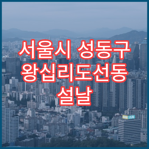 서울시 성동구 왕십리도선동 설날 명절 약국 연휴 영업 코감기·인후스프레이 판매 가능