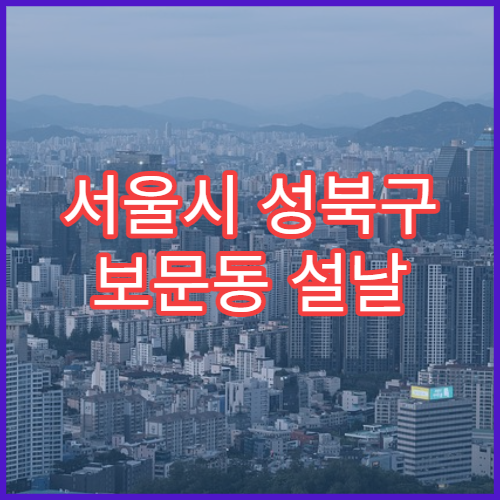서울시 성북구 보문동 설날 명절 당번약국 휴일 오픈 정보 확인 감기 소화제 취급