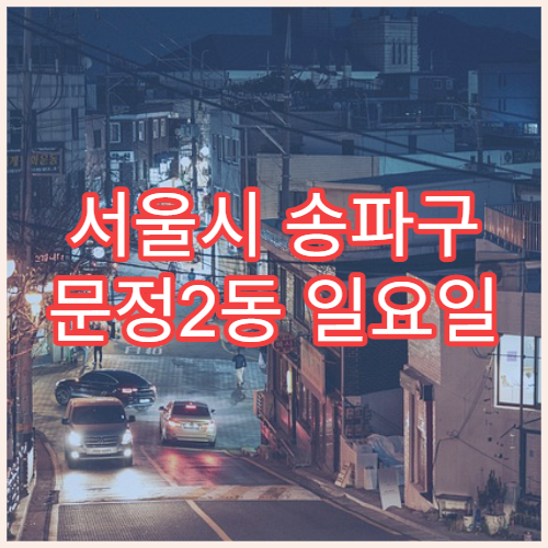 서울시 송파구 문정2동 일요일 문 여는 약국 처방전 조제·항생제 수령 가능