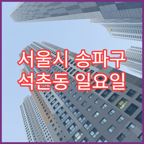 서울시 송파구 석촌동 일요일 당직 약국 어린이 해열제·시럽 판매