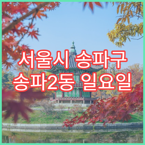 서울시 송파구 송파2동 일요일 문 여는 약국 다래끼 안약·연고 판매