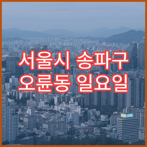 서울시 송파구 오륜동 일요일 영업 약국 상비약·비타민 구매 안내