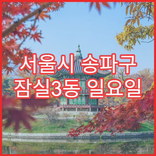서울시 송파구 잠실3동 일요일 영업 약국 항히스타민제·콧물약 판매