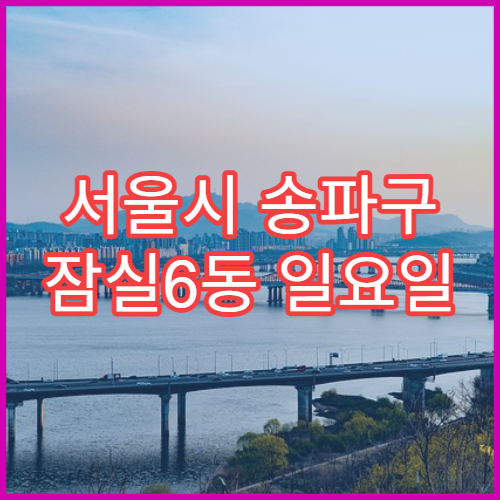 서울시 송파구 잠실6동 일요일 당번약국 어린이 약 조제·판매 가능