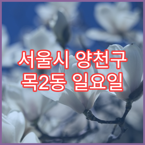 서울시 양천구 목2동 일요일 당번약국 소화제·지사제 상담 가능