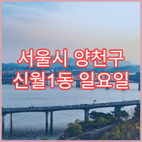 서울시 양천구 신월1동 일요일 영업 약국 비염약·알레르기약 판매