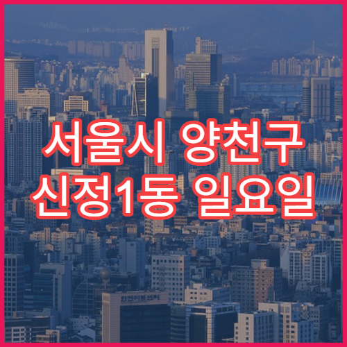 서울시 양천구 신정1동 일요일 문 여는 약국 처방전 조제·항생제 수령 가능