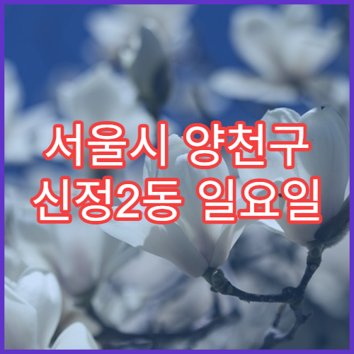 서울시 양천구 신정2동 일요일 당번약국 감기약·몸살약 상담 가능