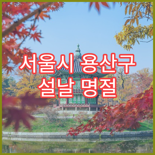 서울시 용산구 설날 명절 이비인후과 연휴 진료 인후통·코막힘 상담 가능