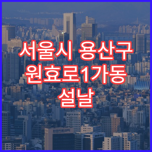 서울시 용산구 원효로1가동 설날 명절 약국 연휴 영업 비타민·종합영양제 구매 가능