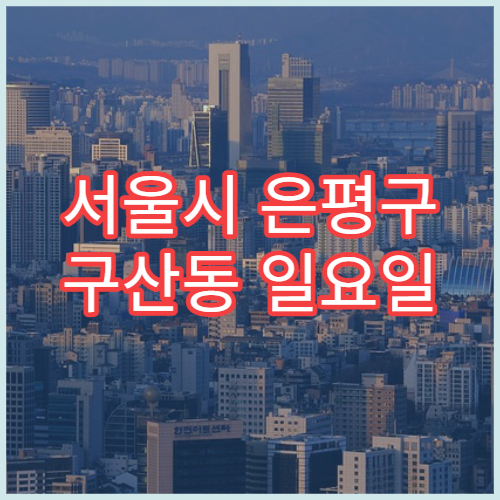 서울시 은평구 구산동 일요일 영업 약국 어린이 감기약·기침약 판매