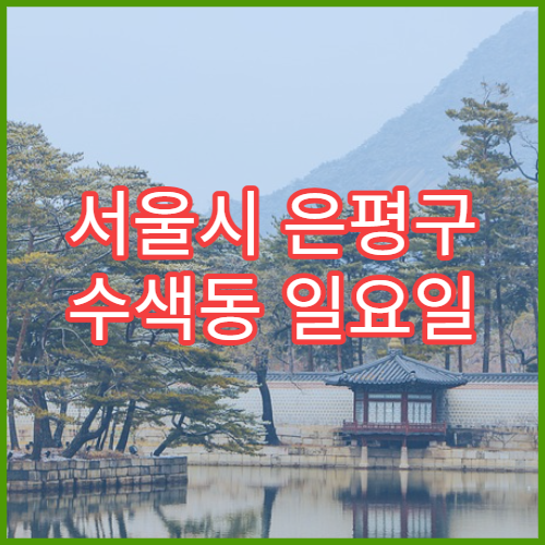 서울시 은평구 수색동 일요일 당번약국 해열제·감기몸살약 구매 가능