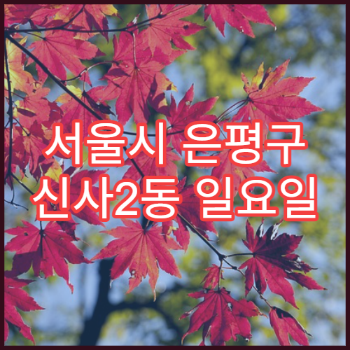 서울시 은평구 신사2동 일요일 문 여는 약국 장염약·소화불량 약 상담 가능