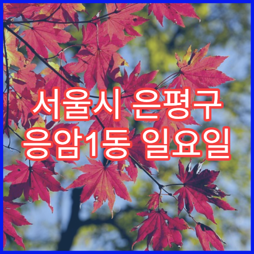 서울시 은평구 응암1동 일요일 영업 약국 어린이 해열제·시럽 판매