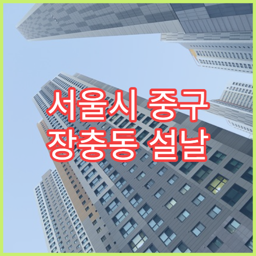 서울시 중구 장충동 설날 명절 약국 연휴 영업 비타민·면역보조제 판매 가능