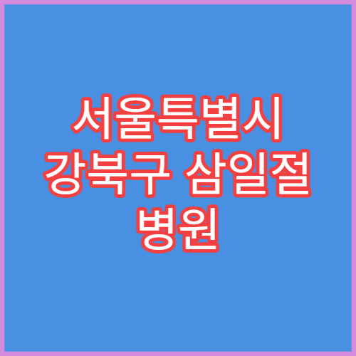 서울특별시 강북구 삼일절 병원 연휴 응급진료 병원 대체공휴일 확인