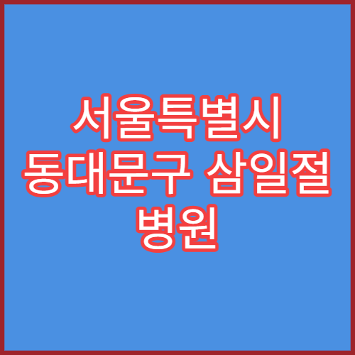 서울특별시 동대문구 삼일절 병원 연휴 응급실 운영 병원 대체공휴일 정보
