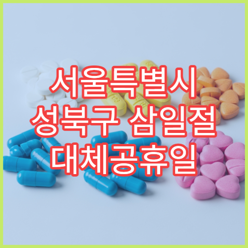 서울특별시 성북구 삼일절 대체공휴일 당번 약국 문 여는 곳 연휴 영업 감기약 소화제 응급 조제