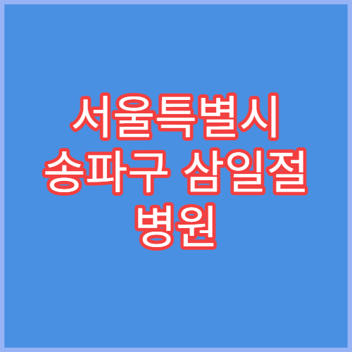 서울특별시 송파구 삼일절 병원 대체공휴일 연휴 문 여는 병원 안내