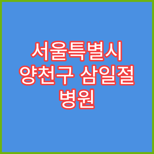 서울특별시 양천구 삼일절 병원 연휴 진료 병원 대체공휴일 운영 정보