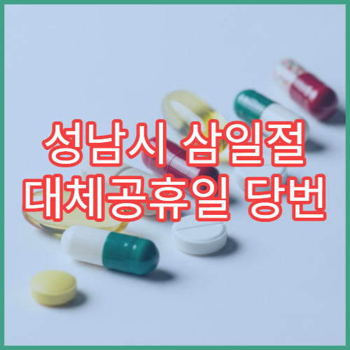 성남시 삼일절 대체공휴일 당번 약국 문 여는 곳 연휴 영업 감기약 소화제 응급 판매