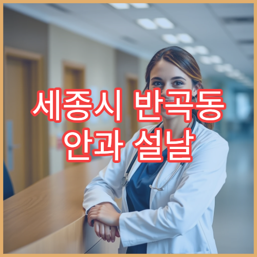 세종시 반곡동 안과 설날 연휴 문 여는 병원 위치 안내