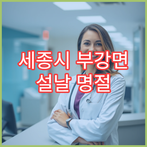 세종시 부강면 설날 명절 연휴 당번약국 위치 및 연락처 정리