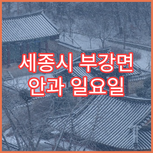 세종시 부강면 안과 일요일 휴일 진료 가능한 병원 운영시간 정리