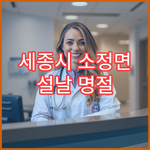 세종시 소정면 설날 명절 연휴 문 여는 당직약국 확인