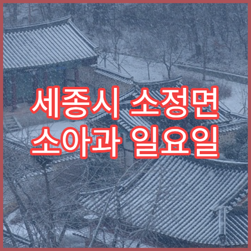 세종시 소정면 소아과 일요일 진료 병원 위치와 응급진료 안내