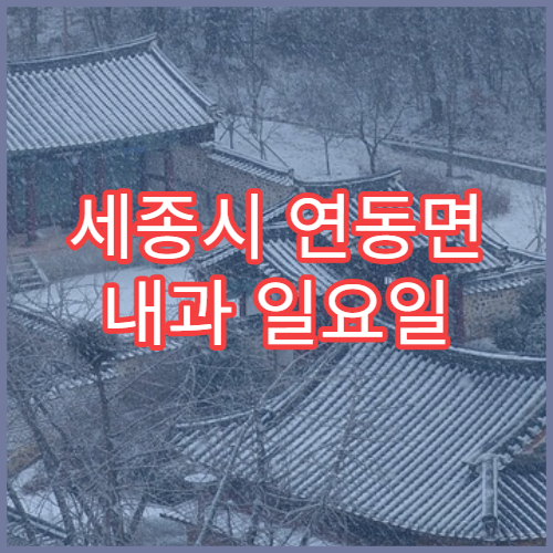 세종시 연동면 내과 일요일 문 여는 병원 휴무일과 진료시간 정보