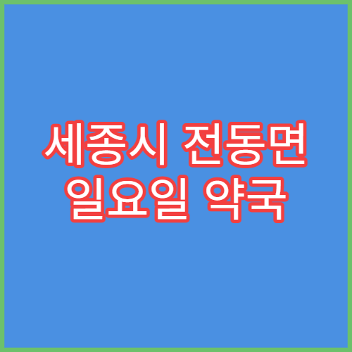 세종시 전동면 일요일 약국 문 여는 곳 및 영업시간