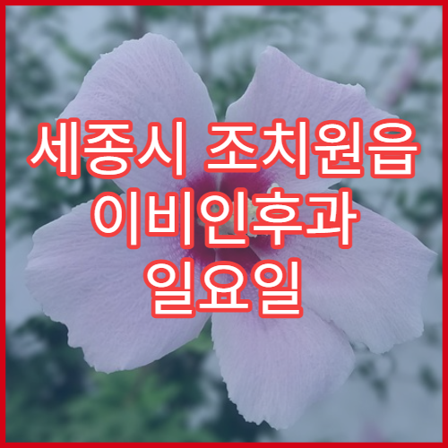 세종시 조치원읍 이비인후과 일요일 진료 병원 운영시간과 위치 정보 안내