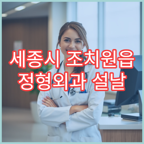 세종시 조치원읍 정형외과 설날 명절 연휴 응급진료 병원 안내