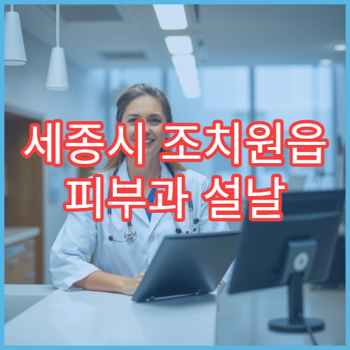 세종시 조치원읍 피부과 설날 명절 진료 병원 운영시간 예약