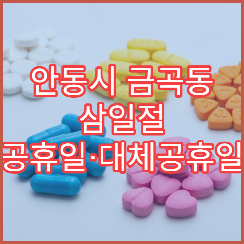 안동시 금곡동 삼일절 공휴일·대체공휴일 영업 약국 소화제·지사제 판매
