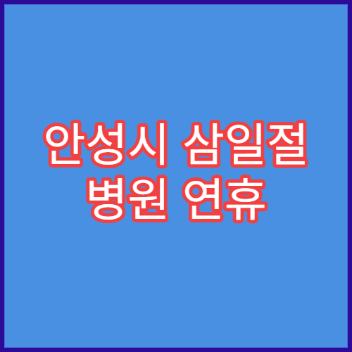 안성시 삼일절 병원 연휴 진료 시간 확인 대체공휴일 병원 정보