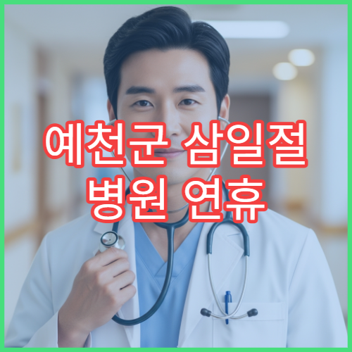 예천군 삼일절 병원 연휴 응급진료 병원 대체공휴일 확인