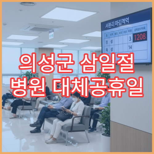 의성군 삼일절 병원 대체공휴일 연휴 응급실 운영 병원 정리