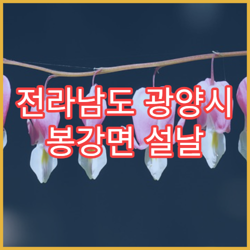 전라남도 광양시 봉강면 설날 명절 연휴 당번 약국 봉강면사무소·봉강초등학교 인근 심야 약국