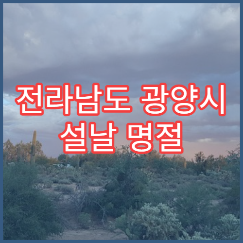 전라남도 광양시 설날 명절 내과 연휴 진료 병원 고혈압·당뇨 제철소 근로자 응급 관리 가능