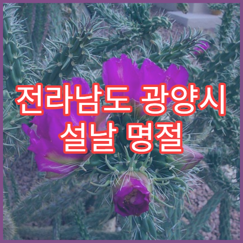 전라남도 광양시 설날 명절 신경과 연휴 진료 병원 두통·어지러움 작업 피로 응급 진료 가능