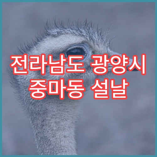 전라남도 광양시 중마동 설날 명절 연휴 당번 약국 광양시청·중마지구 인근 E-Gen 등록 약국