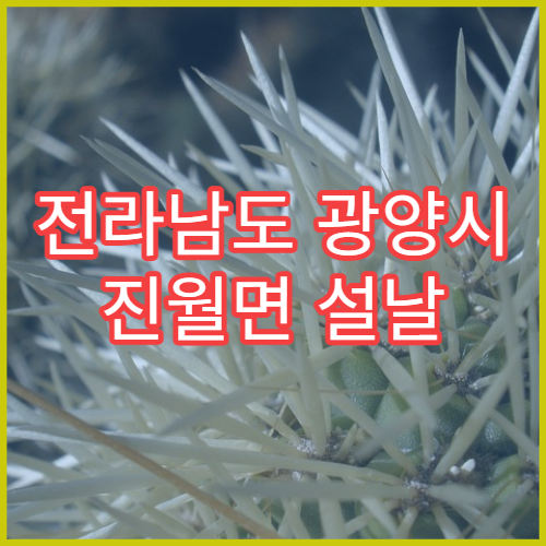 전라남도 광양시 진월면 설날 명절 연휴 당번 약국 진월면사무소·진월지구 야간 당직약국