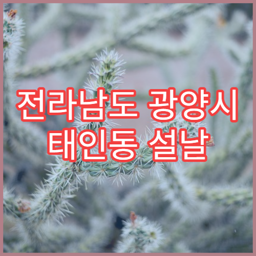 전라남도 광양시 태인동 설날 명절 연휴 당번 약국 태인초등학교·광양IC 인근 응급 처방 가능