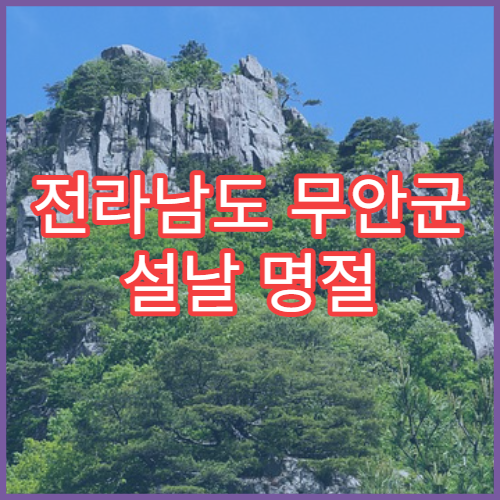 전라남도 무안군 설날 명절 안과 연휴 진료 병원 결막염·시력저하 공항 근로자 처방 가능